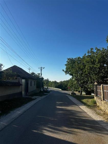 Casă individuală cu 2 camere cu Teren 4000 Mp în Budureasa