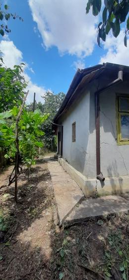 Casă individuală cu 4 camere cu Teren 2640 Mp în Meri