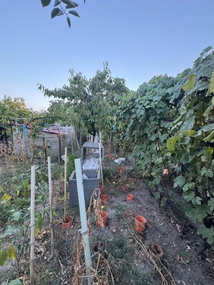 Casă individuală cu 5 camere cu Canalizare în Fratelia