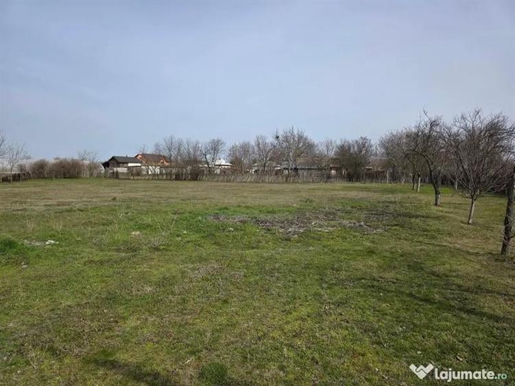 Casă individuală cu 3 camere cu Teren 3600 Mp în Soreni
