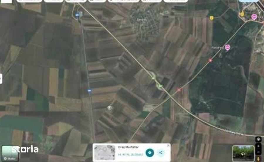 Teren de 6000 mp, în Ciocârlia