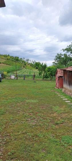 Casă cu Teren 5500 Mp în Pădurenii (Tritenii de Jos)
