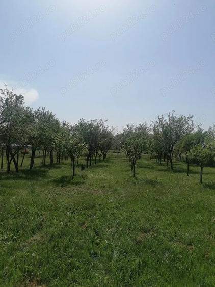 Casă cu 2 camere cu Teren 1700 Mp în Husasău de Tinca