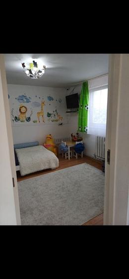 Casă cu 4 camere în Petrovaselo