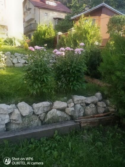 Casă cu 4 camere în Turcheș
