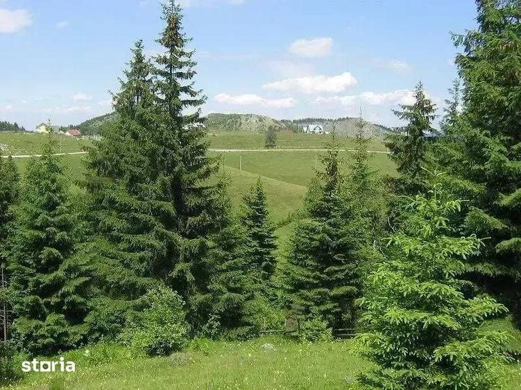 TEREN INTRAVILAN DE VANZARE | COMUNA FUNDATA | FUNDATICA | BRASOV - 3