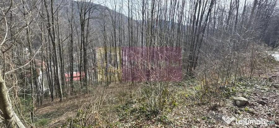 Tere intravilan de vanzare in Sinaia - 2