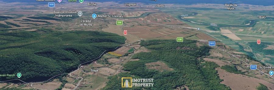 Teren Construcții intravilan de 4961 mp, în Stejar