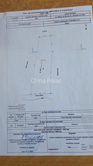 Vand teren intravilan in Beznea 25000 euro