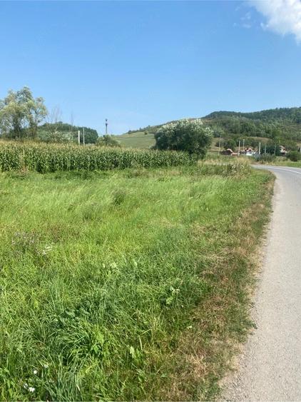 Teren de 1400 mp, în Poarta