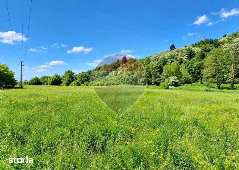 Teren de 8500 mp, în Cașin
