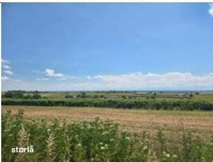 Teren de 10000 mp, în Prundu