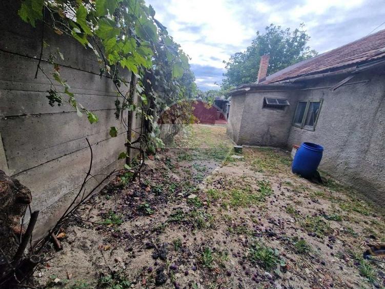 Casă cu 3 camere cu Teren 140 Mp în Bartolomeu