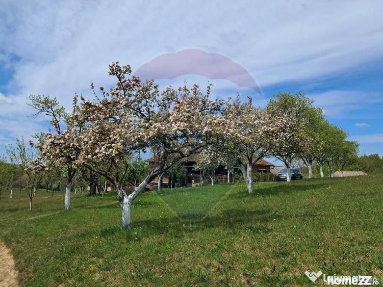 Casă cu 4 camere cu Teren 11769 Mp în Munteni
