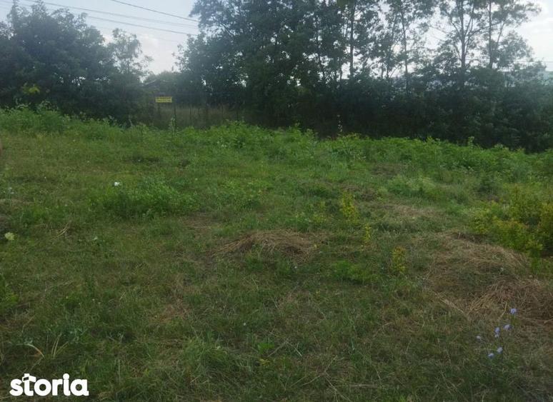 Teren de 562 mp, în Bârnova