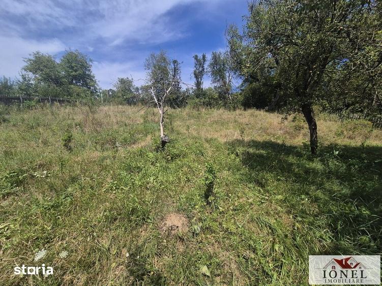 Casă cu 3 camere cu Teren 2651 Mp în Almașu Mare