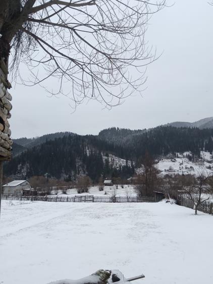 Teren Construcții intravilan de 600 mp, în Neagra