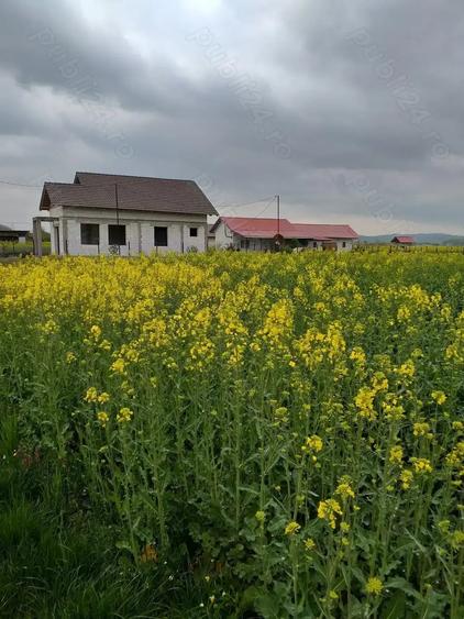 Teren de 11693 mp, în Cornești