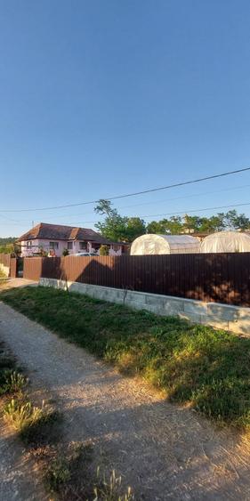 casa Visinelu Mures - 1