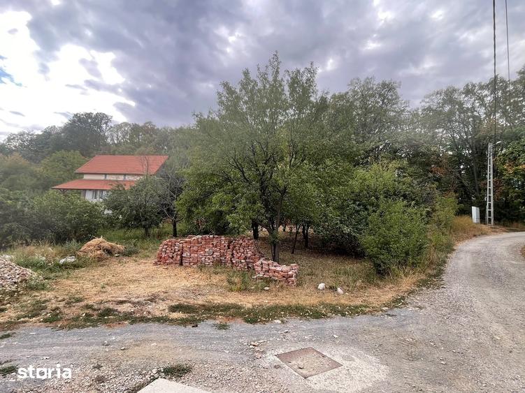 Teren intravilan de 1.125 mp la liziera Padurii Gheorghe Doja Oradea - 3