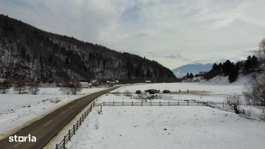 Teren de 2400 mp, în Plaiul Foii