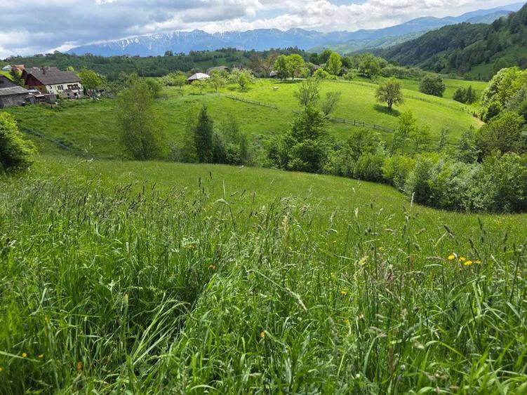 Teren de 1940 mp, în Măgura