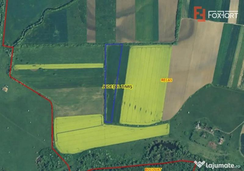 Teren extravilan agricol de 23.700 mp - Recas - Izvin - Recas (Timis) - 1