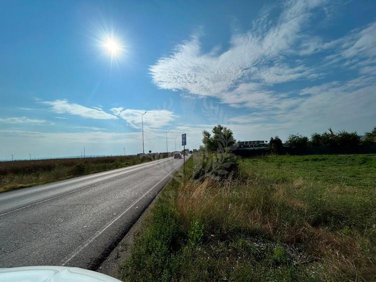 Teren Construcții intravilan de 3000 mp, în Albert
