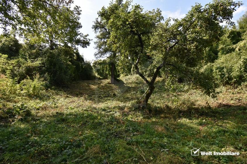 Casă individuală cu 2 camere cu Teren 1547 Mp în Gheorghieni