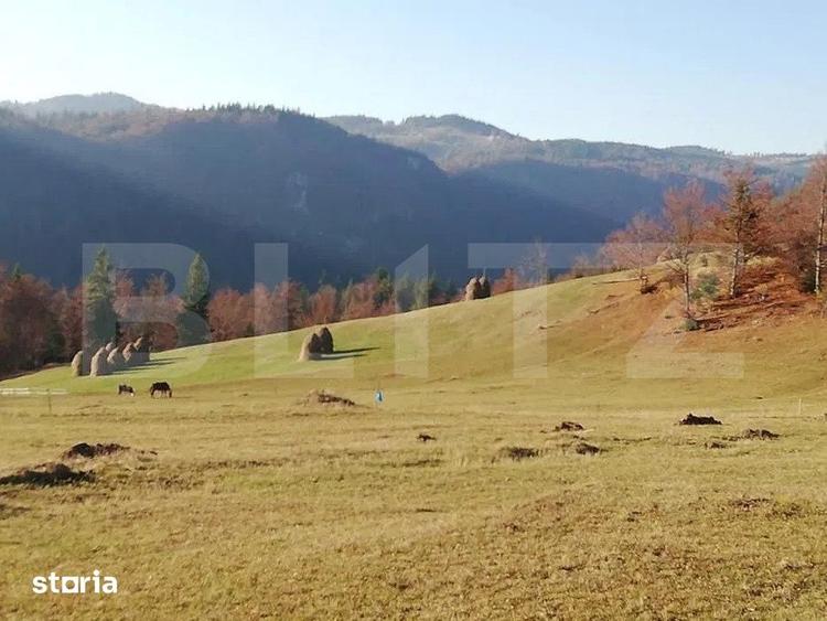 Teren de 2050 mp, în Scărișoara