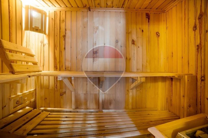 Casă individuală cu 10 camere cu Piscina în Satu Nou