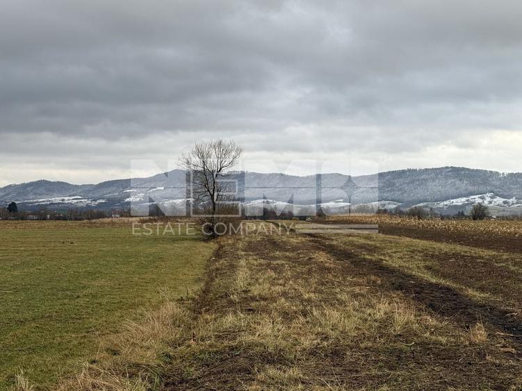 Teren agricol extravilan de 8000 mp, în Vicovu de Sus