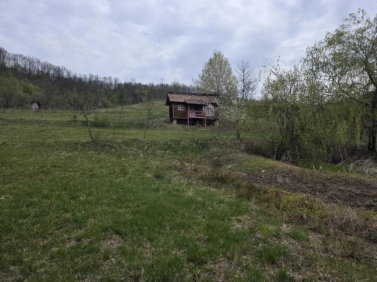 Teren de 11000 mp, în Ribița