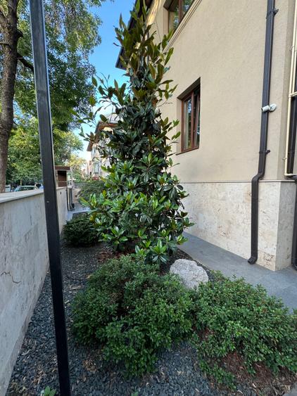 Apartament cu 4 camere în Casin