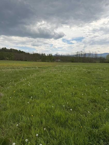 Teren de 3000 mp, în Șinca