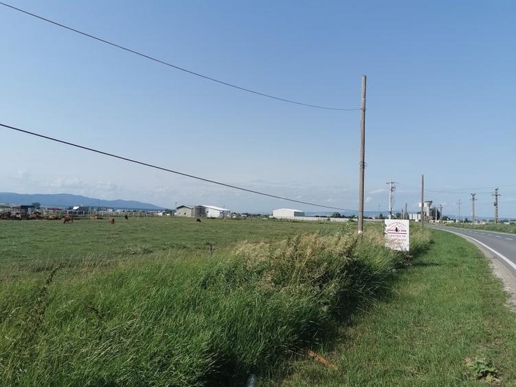 Teren Construcții intravilan de 31400 mp, în Exterior Nord