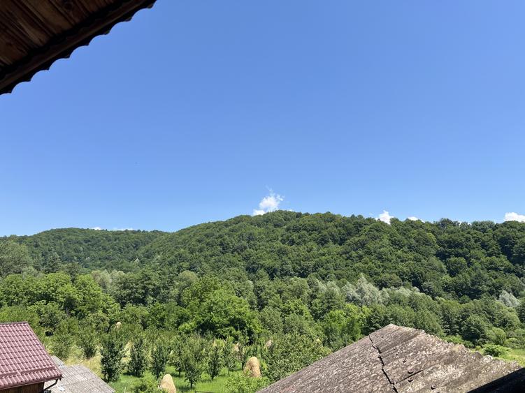 Casă individuală cu 10 camere cu Teren 5164 Mp în Malu cu Flori