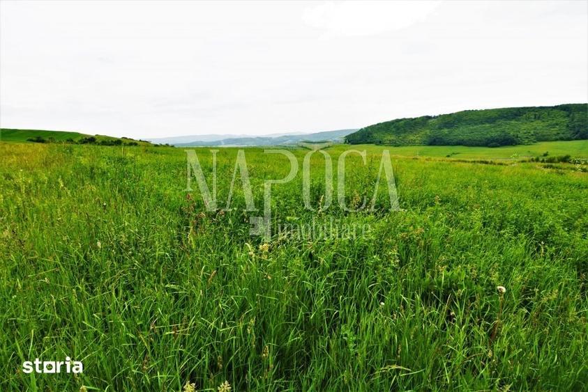 Teren de 8150 mp, în Baciu