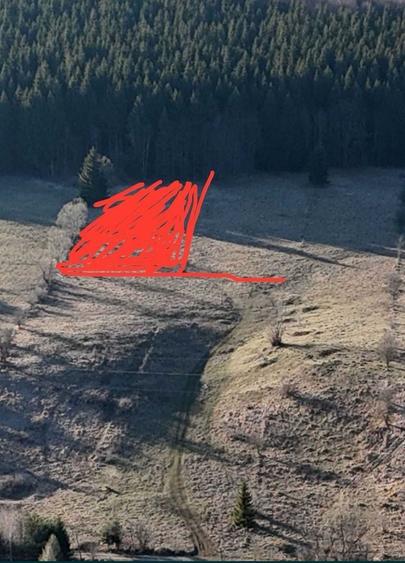 Teren Construcții intravilan de 1243 mp, în Trăisteni