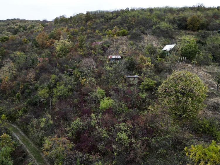 Teren de 18300 mp, în Ghioroc