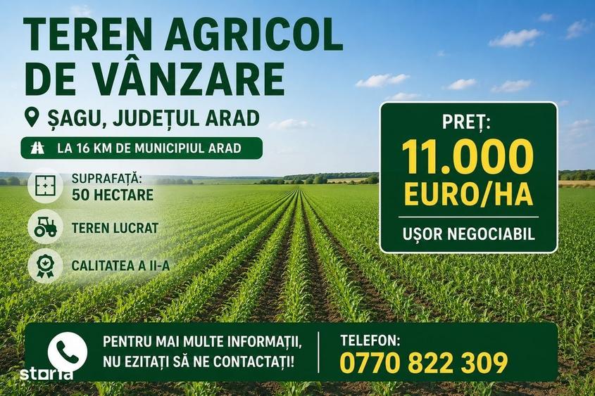Spațiu comercial, în Șagu