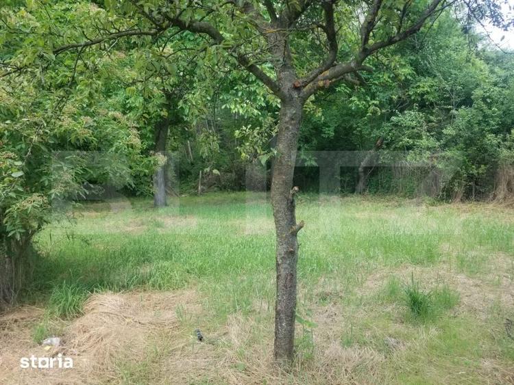 Casă cu 6 camere cu Teren 1056 Mp în Malu cu Flori
