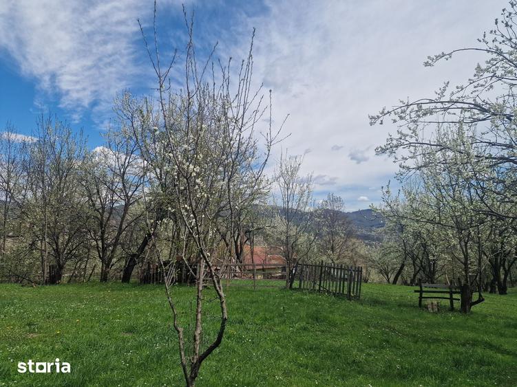 Teren de 12000 mp, în Ghioșești