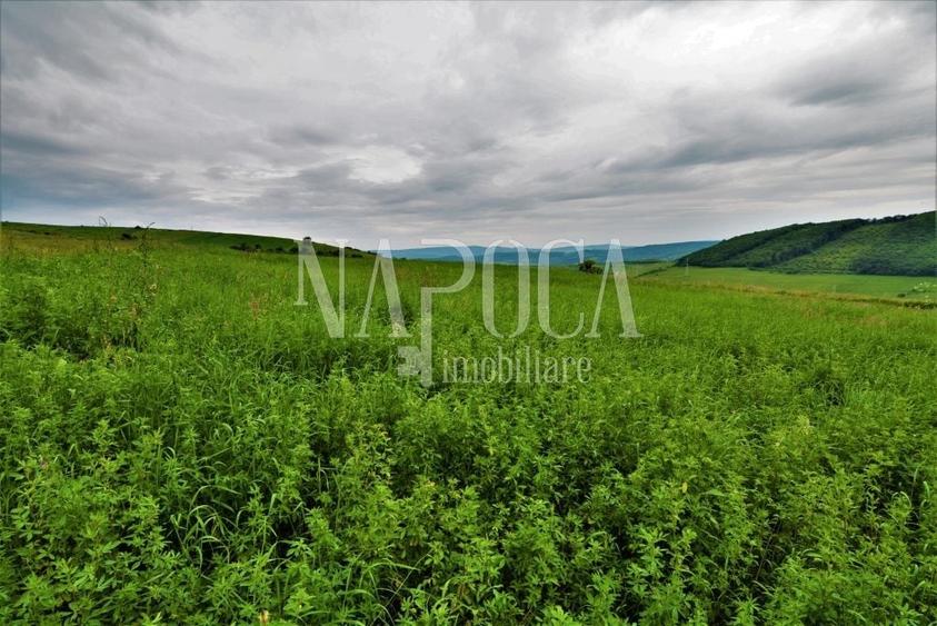 Teren Construcții extravilan de 8150 mp, în Popești