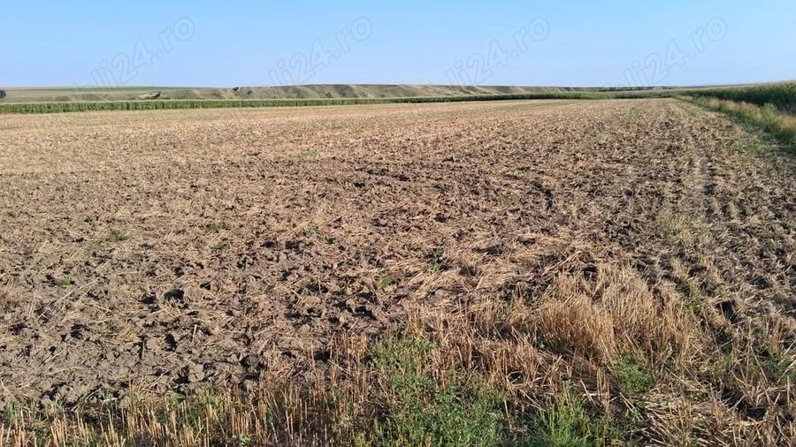 Teren de 28500 mp, în Central