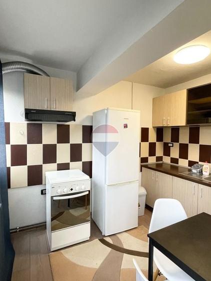 Apartament cu 1 camera de închiriat în zona Vlaicu - 3