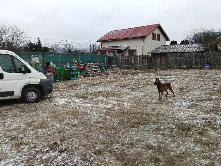 Teren de 800 mp, în Lilieci
