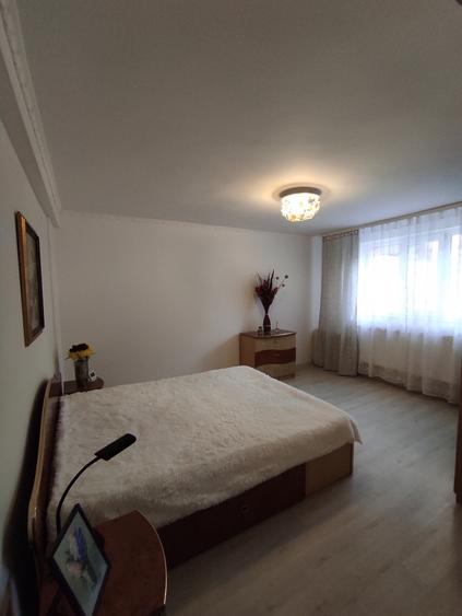 Casă individuală cu 9 camere cu Piscina în Dristor