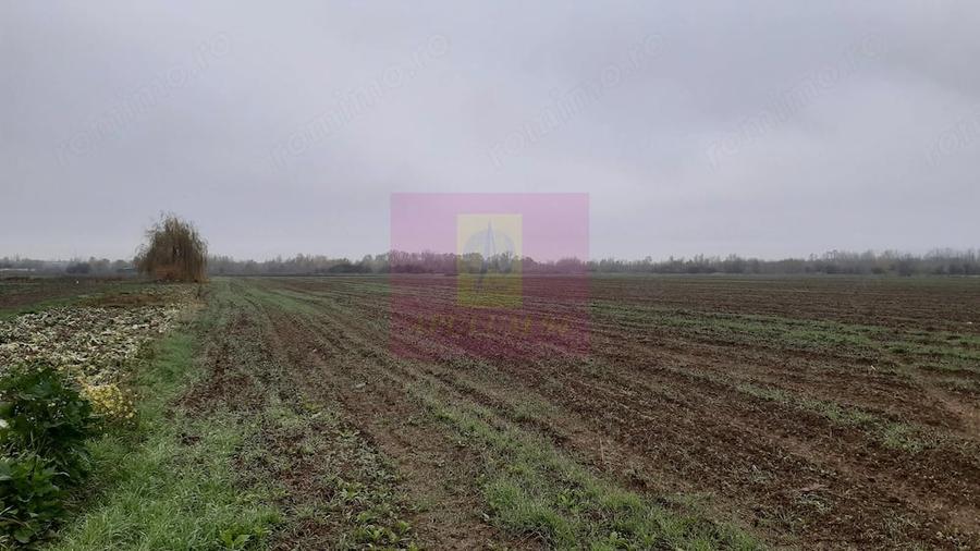 Teren Investi?ie aproape de Bucure?ti - 3