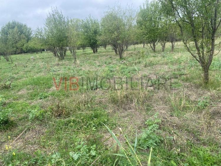 Teren de 8100 mp, în Mărtinești